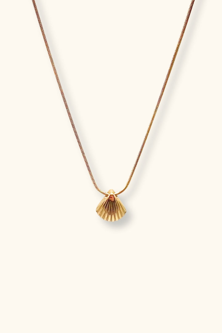 Ailani Mini Shell Necklace