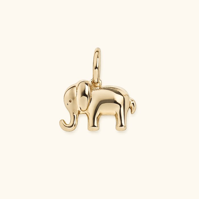 Elephant Charm