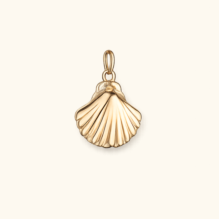 Shell Charm
