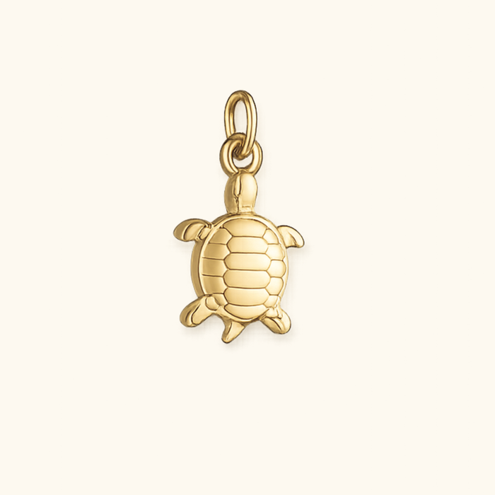 Turtle Charm