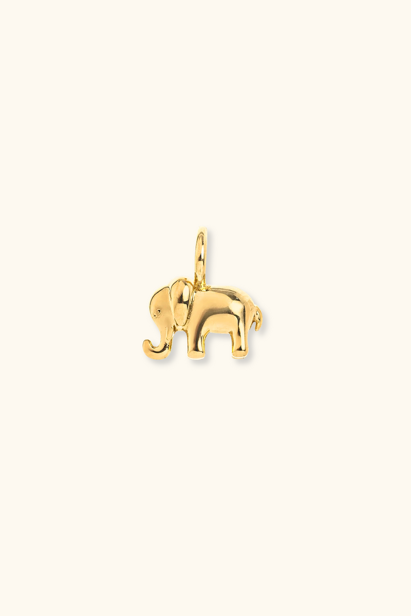 Elephant Charm