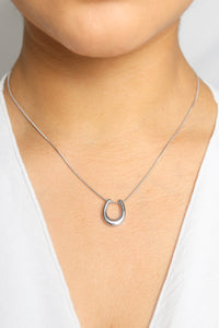 Daisy Horseshoe Necklace | Silver PVD