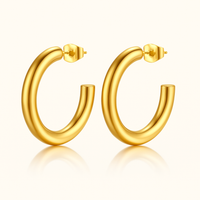 Ariana Hoops | Large