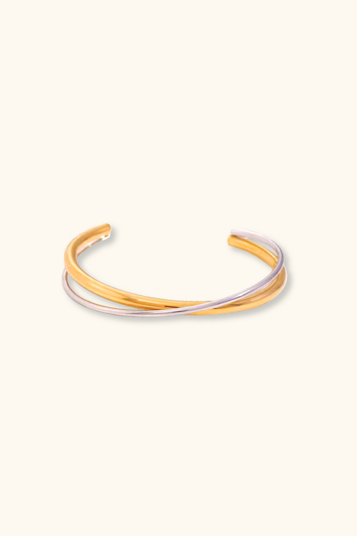 Tara Mixed-Metal Bangle